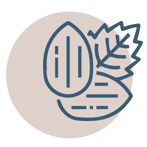 icon-savoir-faire_Plan de travail 1